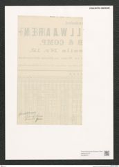 Diatomeae indet. Zeichnungen Sammlung Grunow (NHMW-BOT-W0369797)
